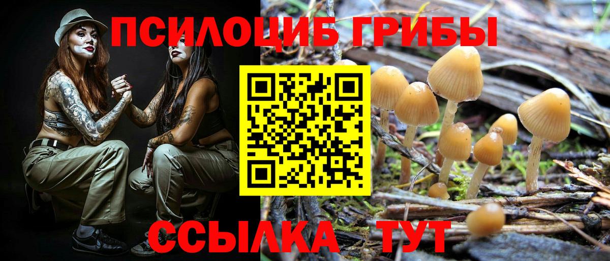 Краснокаменск  Галлюциногенные грибы мицелий  купить закладку  Вход с VPN 
