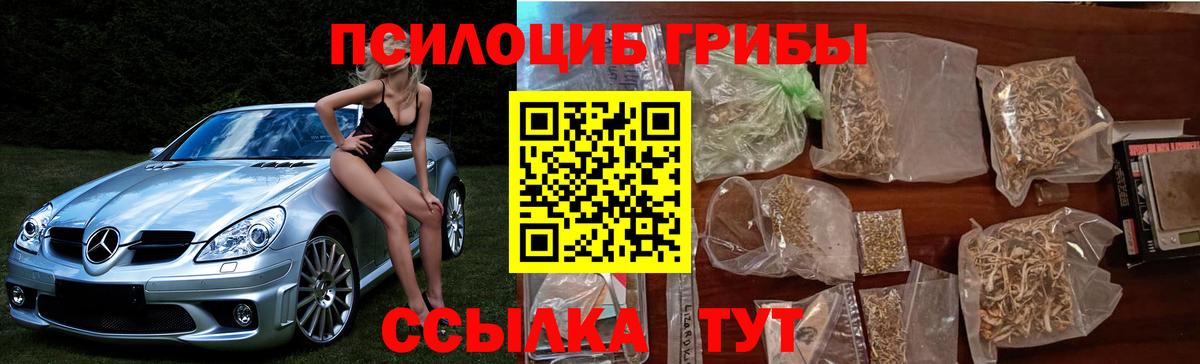 Галлюциногенные грибы прущие грибы Краснокаменск